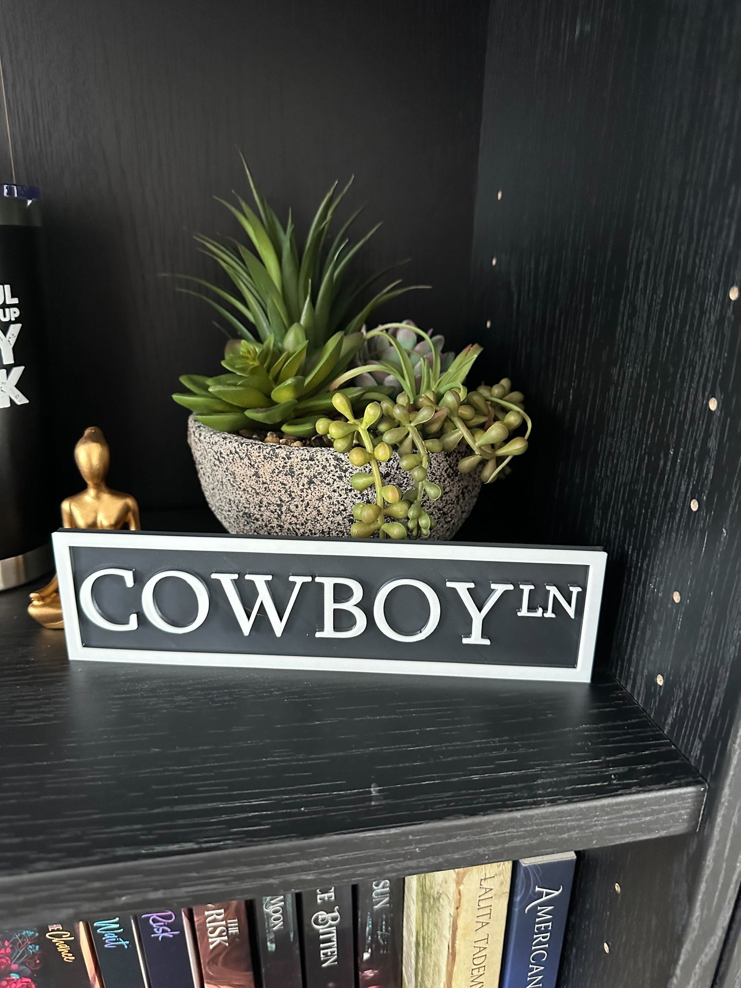 Cowboy Lane Bookshelf Street Sign