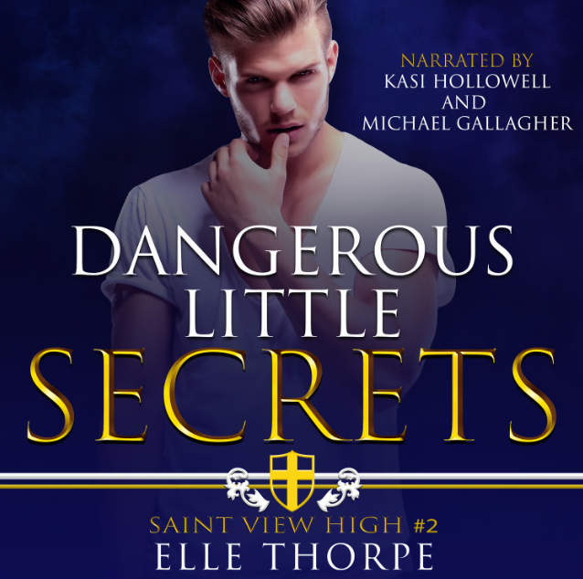 Dangerous Little Secrets — Audiobook