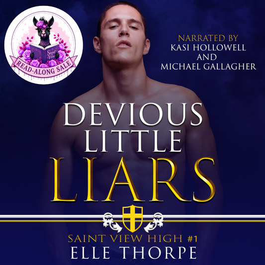 Devious Little Liars — Audiobook