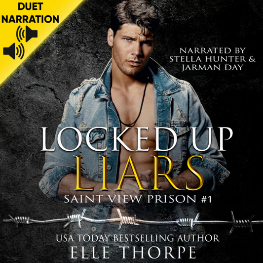 Locked Up Liars — Audiobook