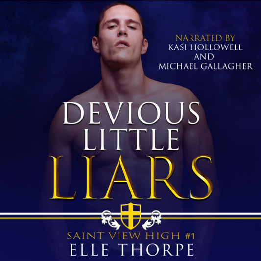 Devious Little Liars — Audiobook