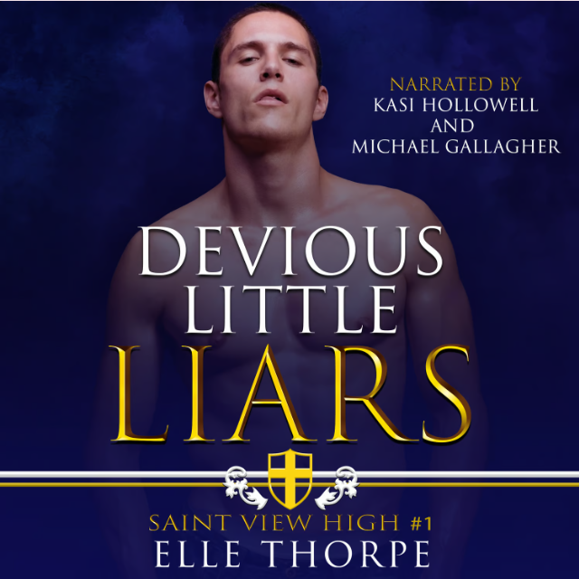 Devious Little Liars — Audiobook