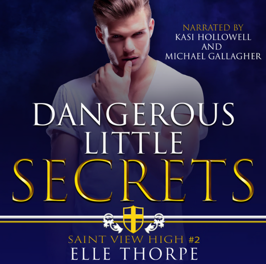 Dangerous Little Secrets — Audiobook